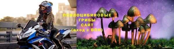 а пвп мука Богородицк