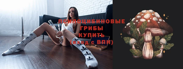 гашик Богородск